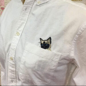 Cat in a Pocket